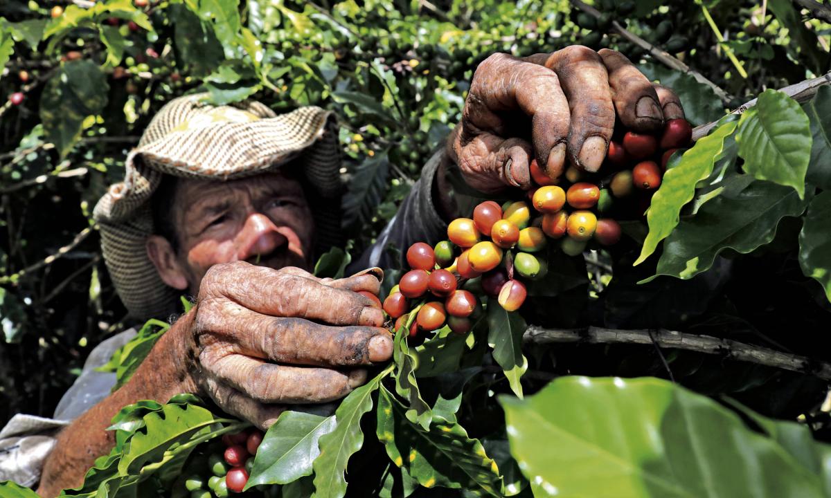 COLOMBIA ''SWISS WATER'' DESCAFEINADO