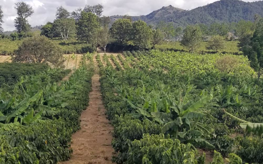BARAHONA REPÚBLICA DOMINICANA AA