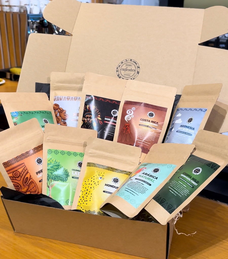 PACK DEGUSTACIÓN 10 ORÍGENES