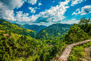 JAMAICA BLUE MOUNTAIN