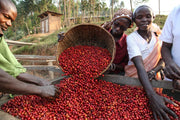 BURUNDI UMUCO