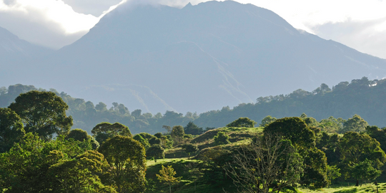 La Joya Cafetera de Panamá: Volcán Barú en Boquete