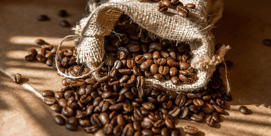 Defectos del café y cómo identificarlos en los granos