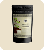 EL SALVADOR ''FINCA LA REFORMA''