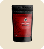 GUATEMALA ANTIGUA ''TERRA ROSSA''