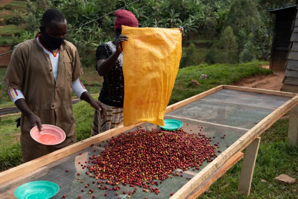 RWANDA NYAMASHEKE