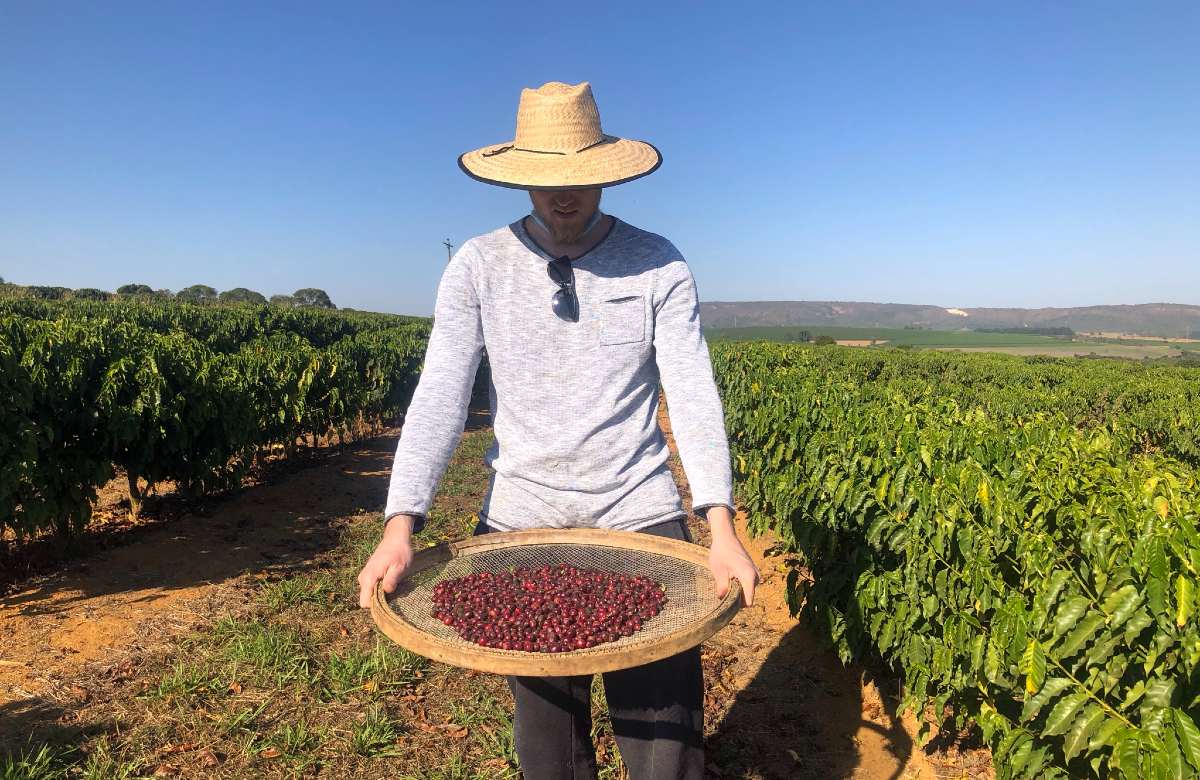 BRASIL ''CAMOCIM'' ORGANIC