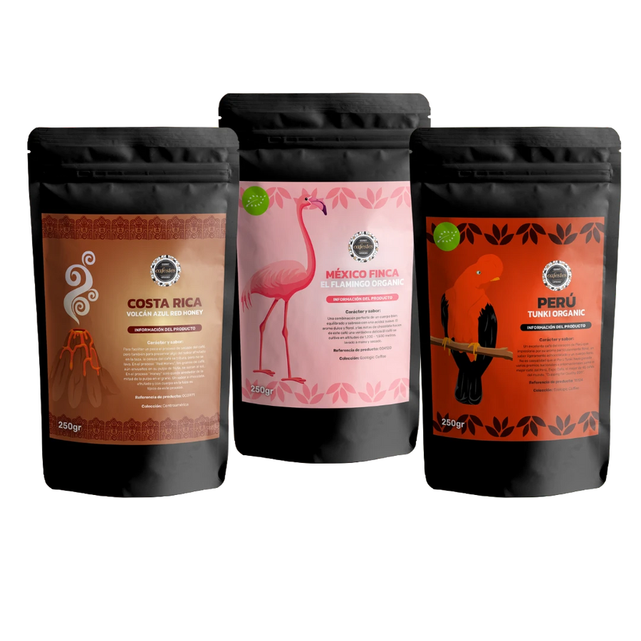 PACK CATURRA