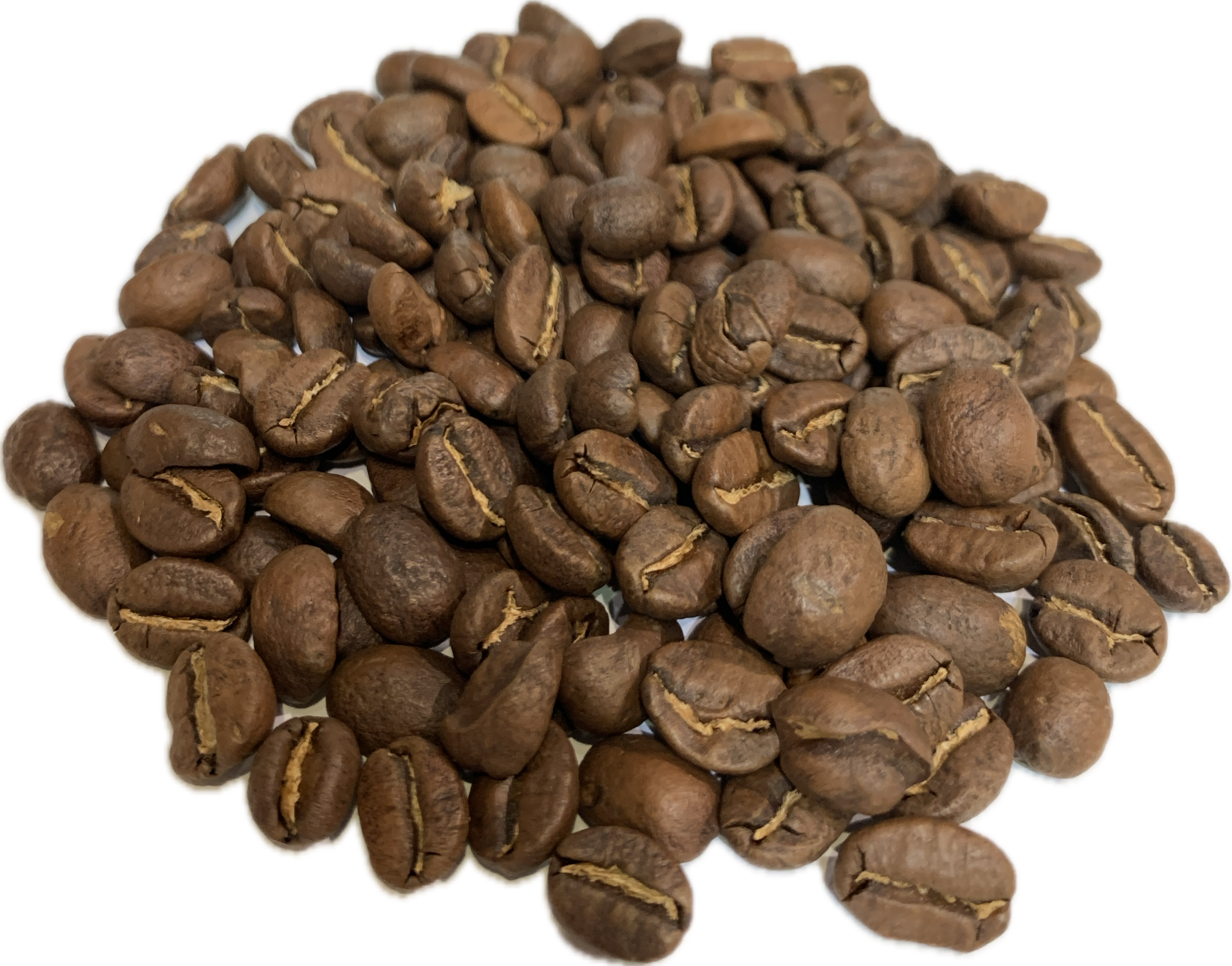 KOPI LUWAK