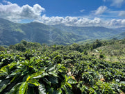 Costa Rica Tarrazú