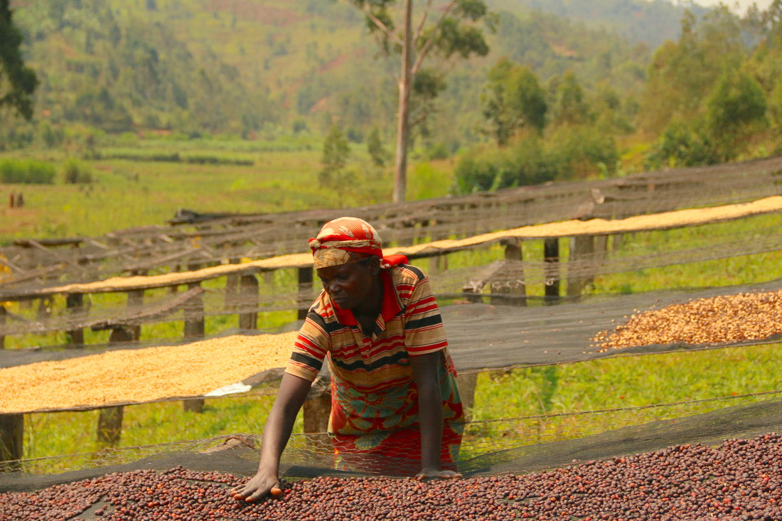 BURUNDI UMUCO